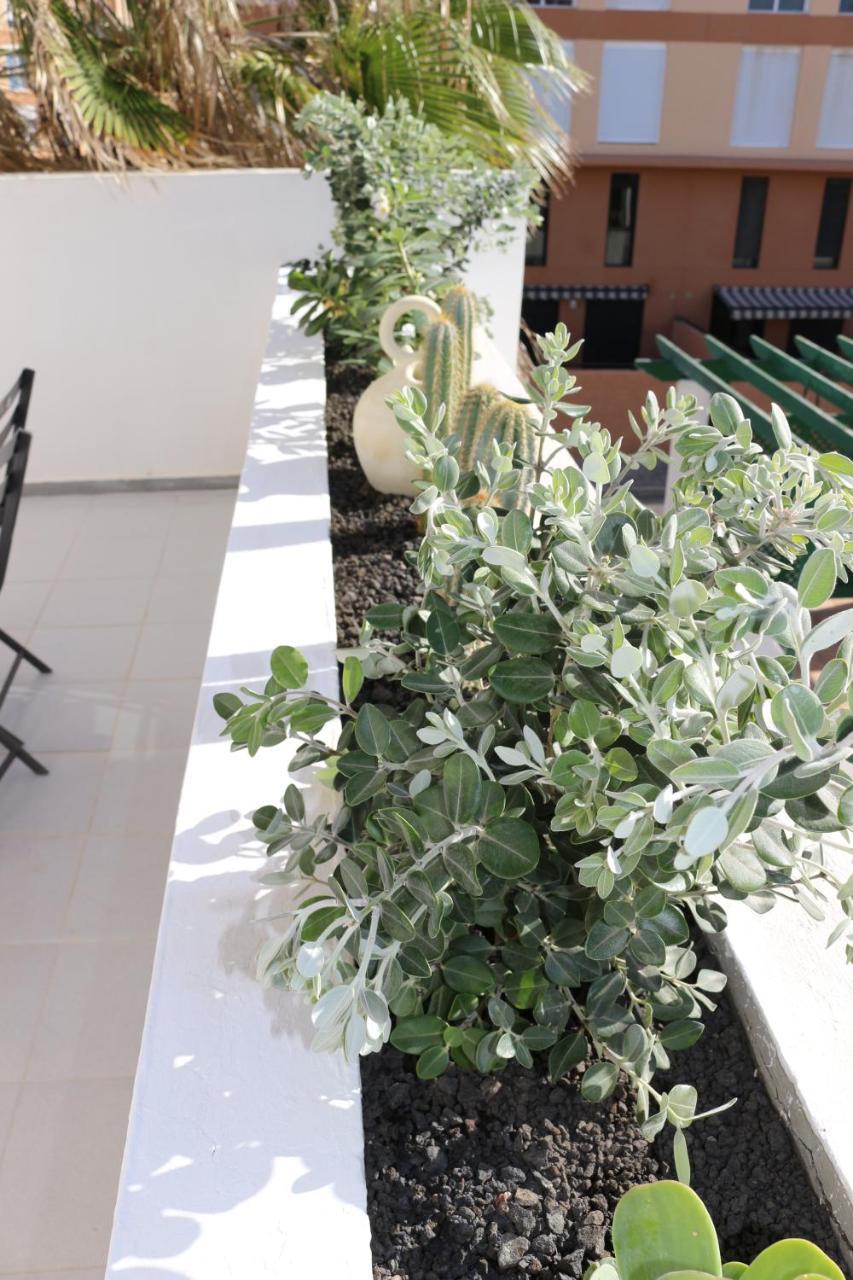 Bungalow Balancon Duplex เอลเมดาโน ภายนอก รูปภาพ